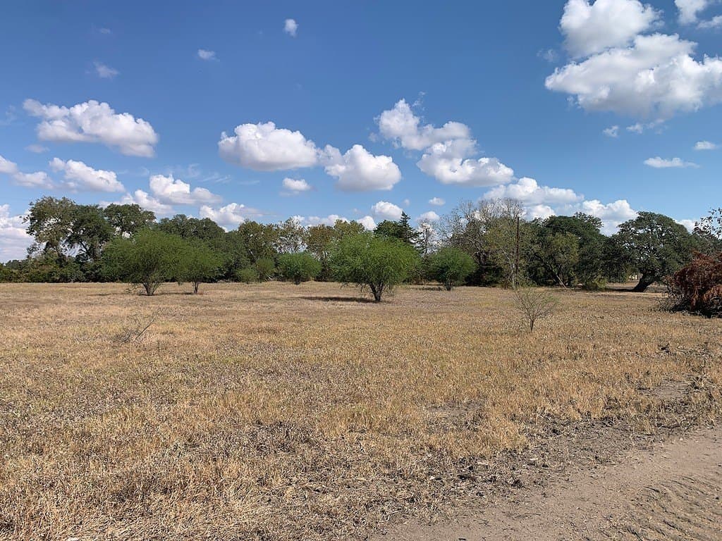 10.81 acres in Colorado County - photo 2