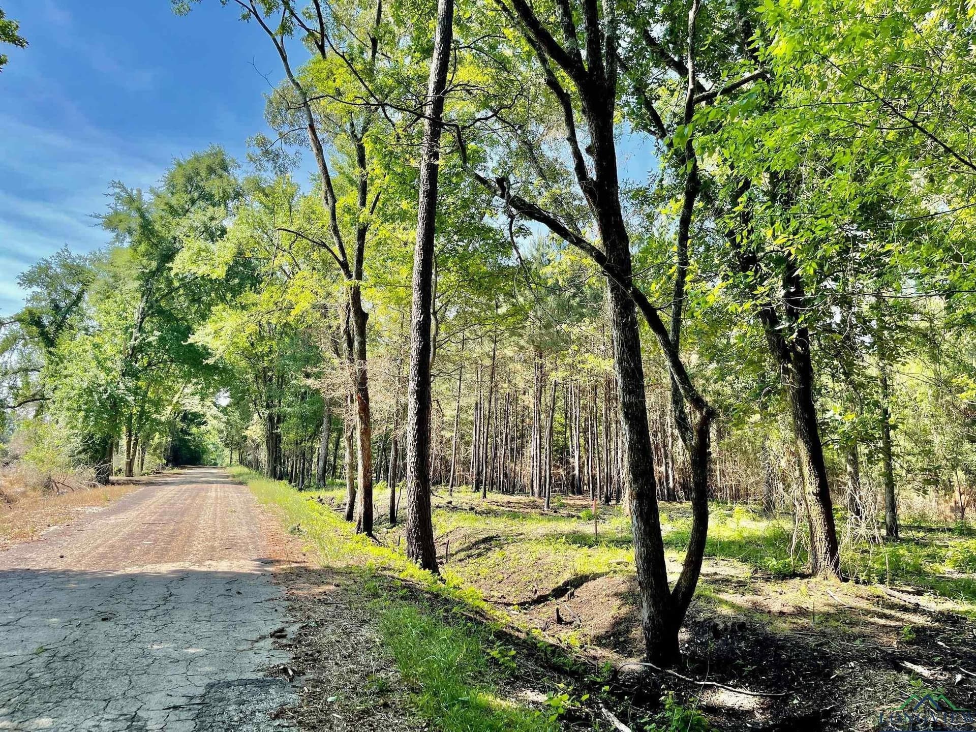 2.77 acres in Marion County - photo 3