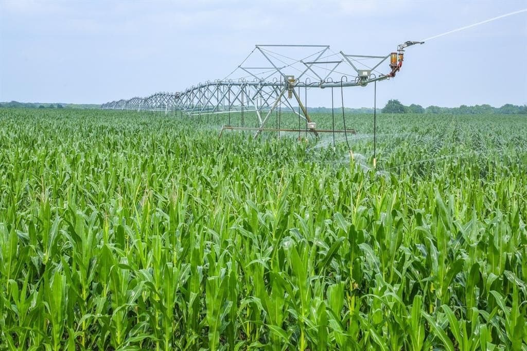 2,125 acres in Lamar County - photo 30