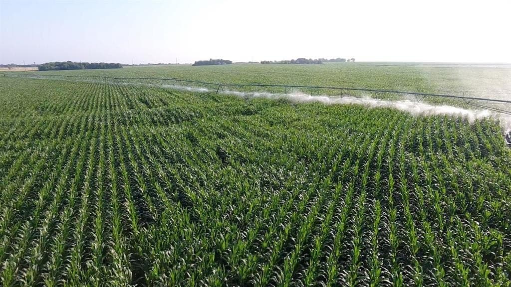 2,125 acres in Lamar County - photo 3