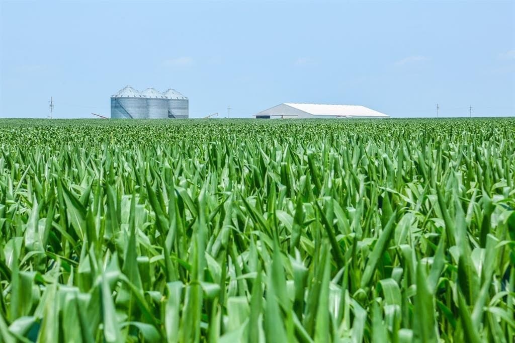 2,125 acres in Lamar County - photo 31