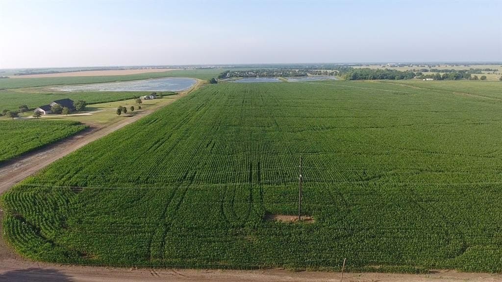 2,125 acres in Lamar County - photo 38