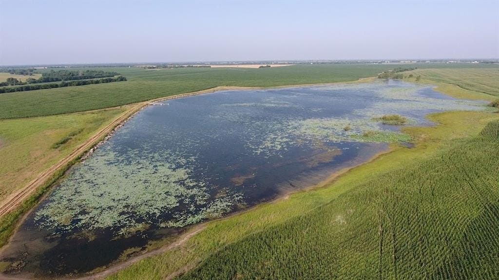 2,125 acres in Lamar County - photo 35