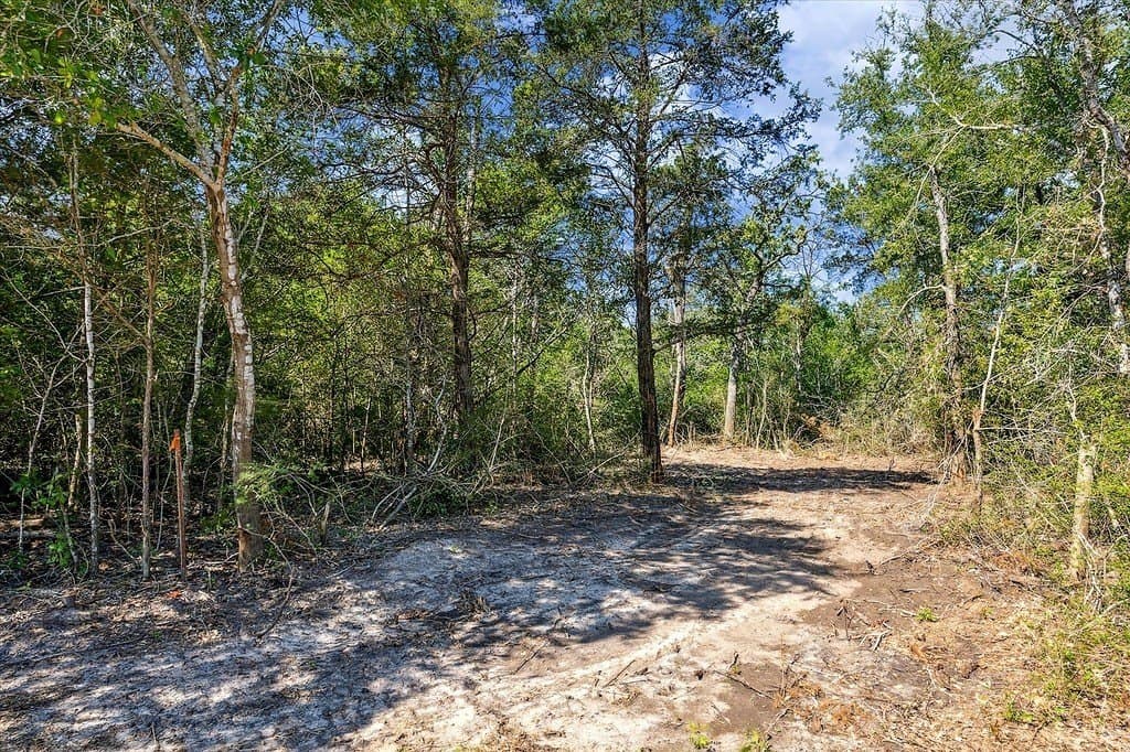 1.58 acres in Fayette County - photo 4