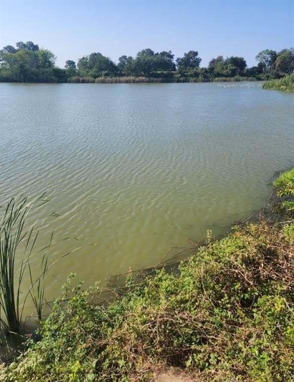 2.38 acres in Navarro County - photo 8