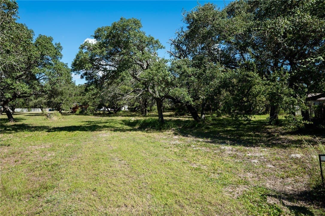 2.35 acres in San Patricio County - photo 4