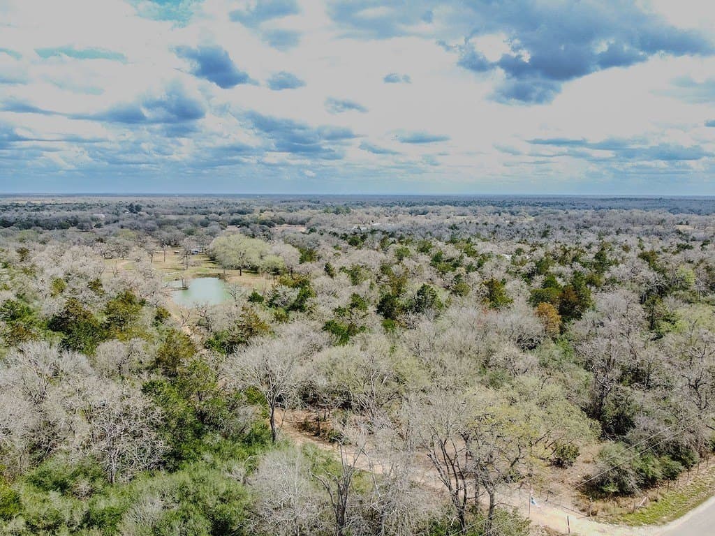 19.99 acres in Caldwell County - photo 4