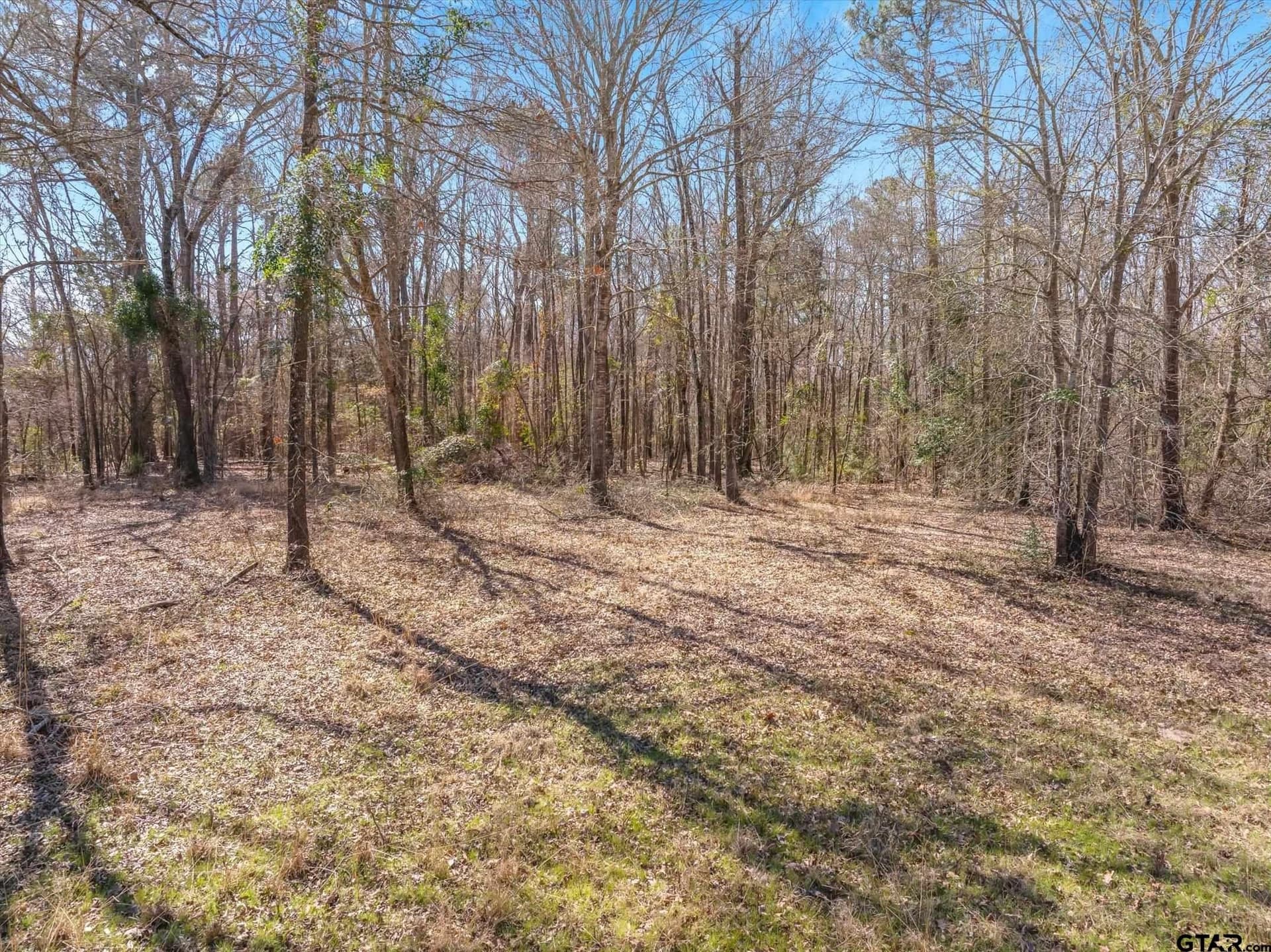 5.01 acres in Smith County - photo 5