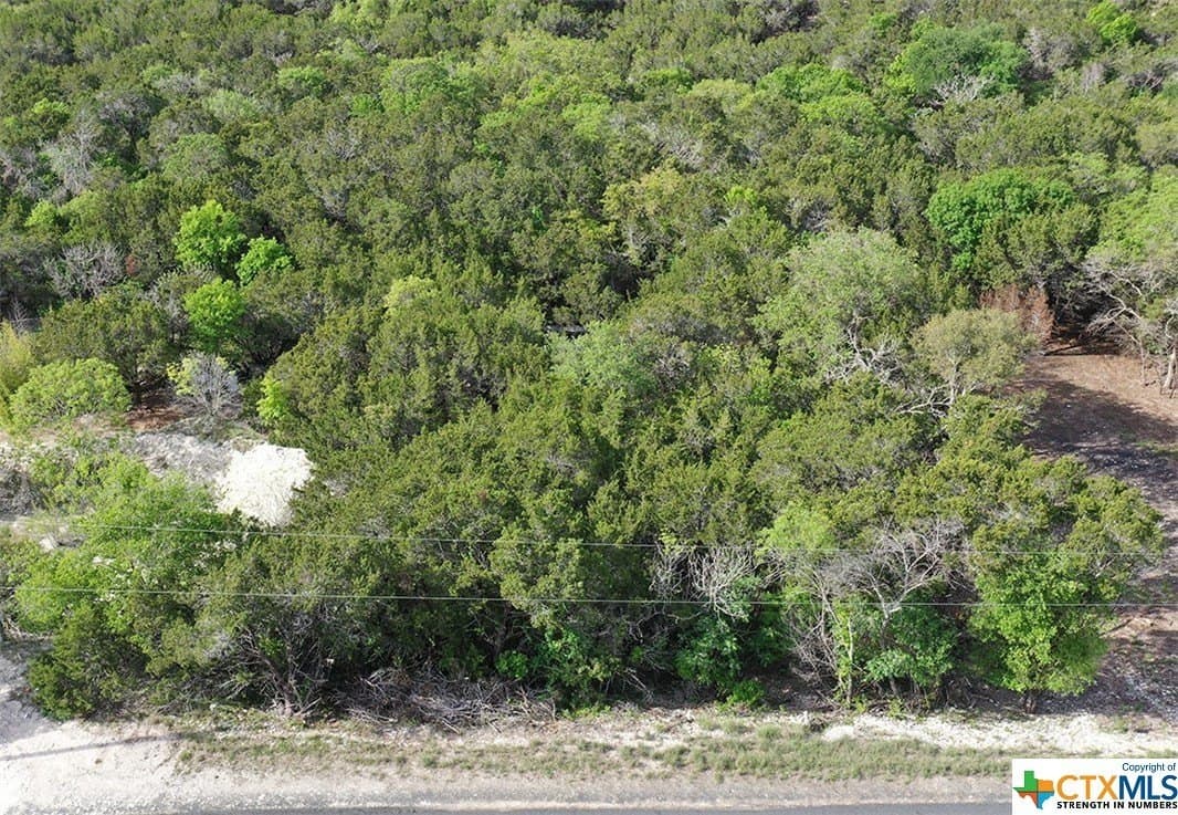 0.15 acres in Bell County - photo 4