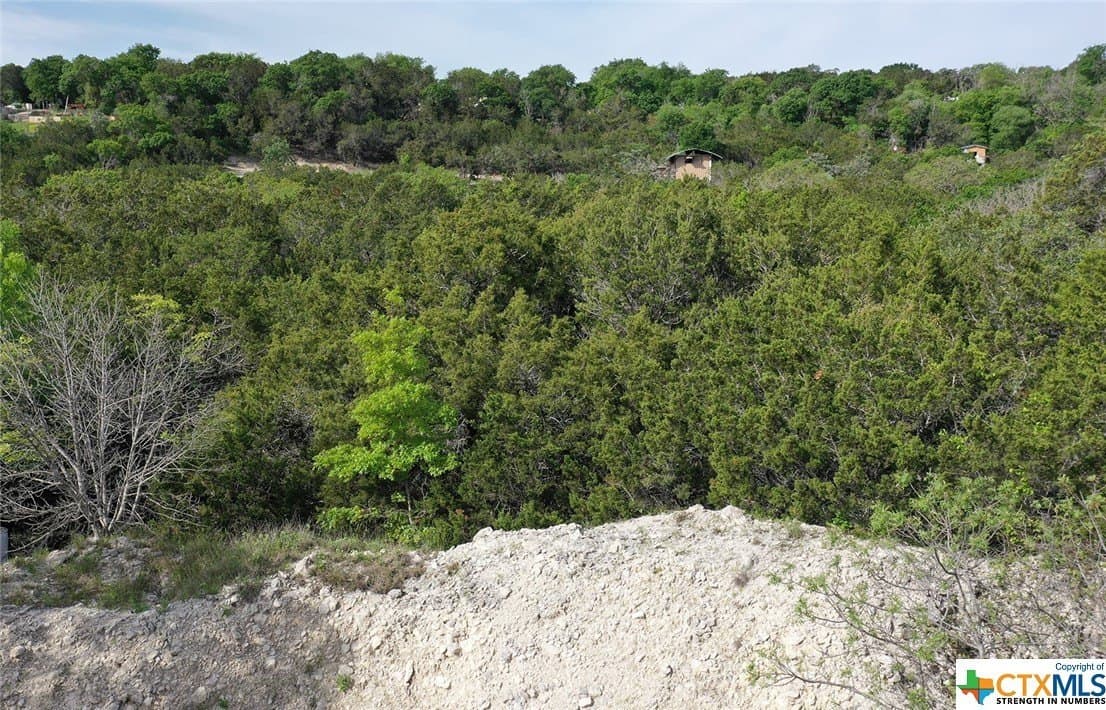 0.15 acres in Bell County - photo 5