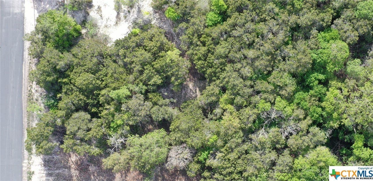 0.15 acres in Bell County - photo 3