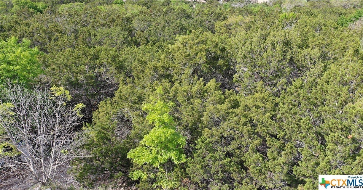 0.15 acres in Bell County - photo 2