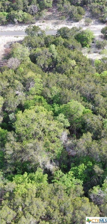 0.15 acres in Bell County - photo 7
