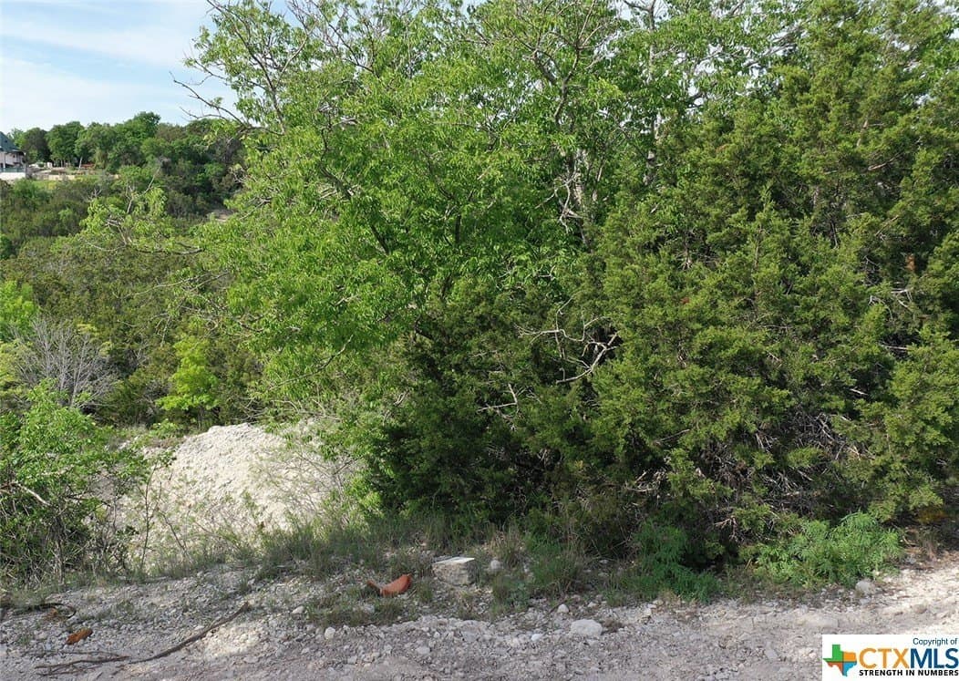 0.15 acres in Bell County - photo 6
