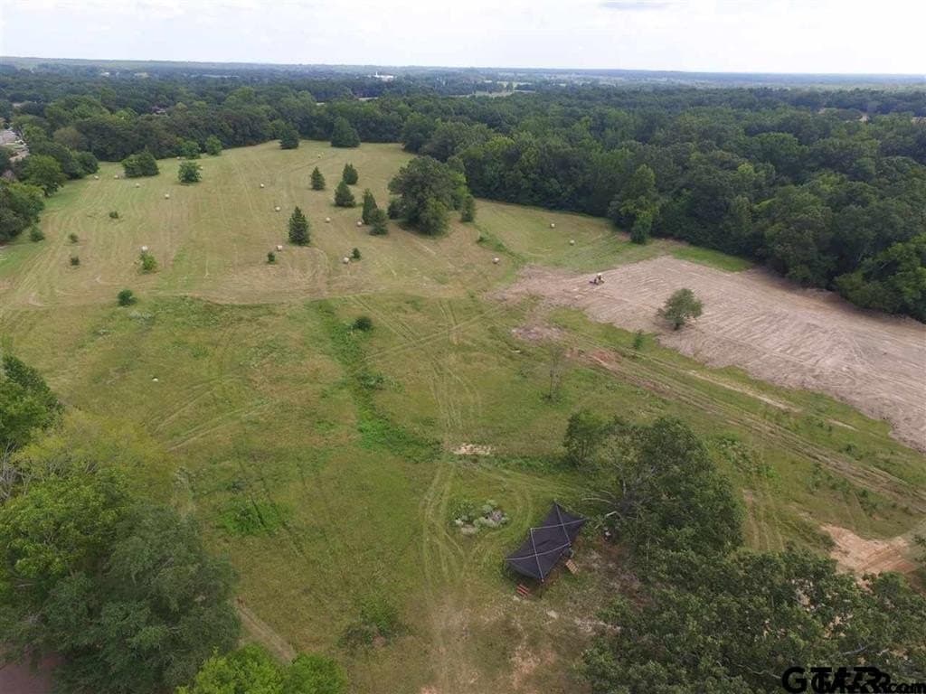 89.4 acres in Titus County - photo 7
