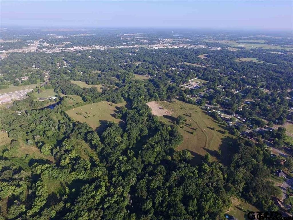 89.4 acres in Titus County - photo 8