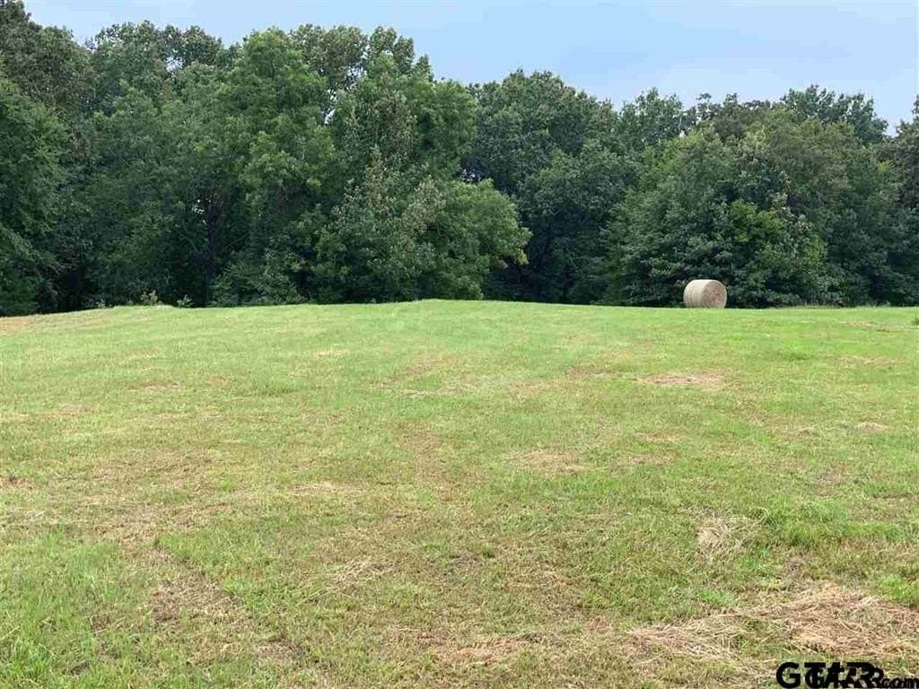 89.4 acres in Titus County - photo 4