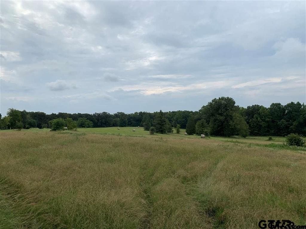 89.4 acres in Titus County - photo 6