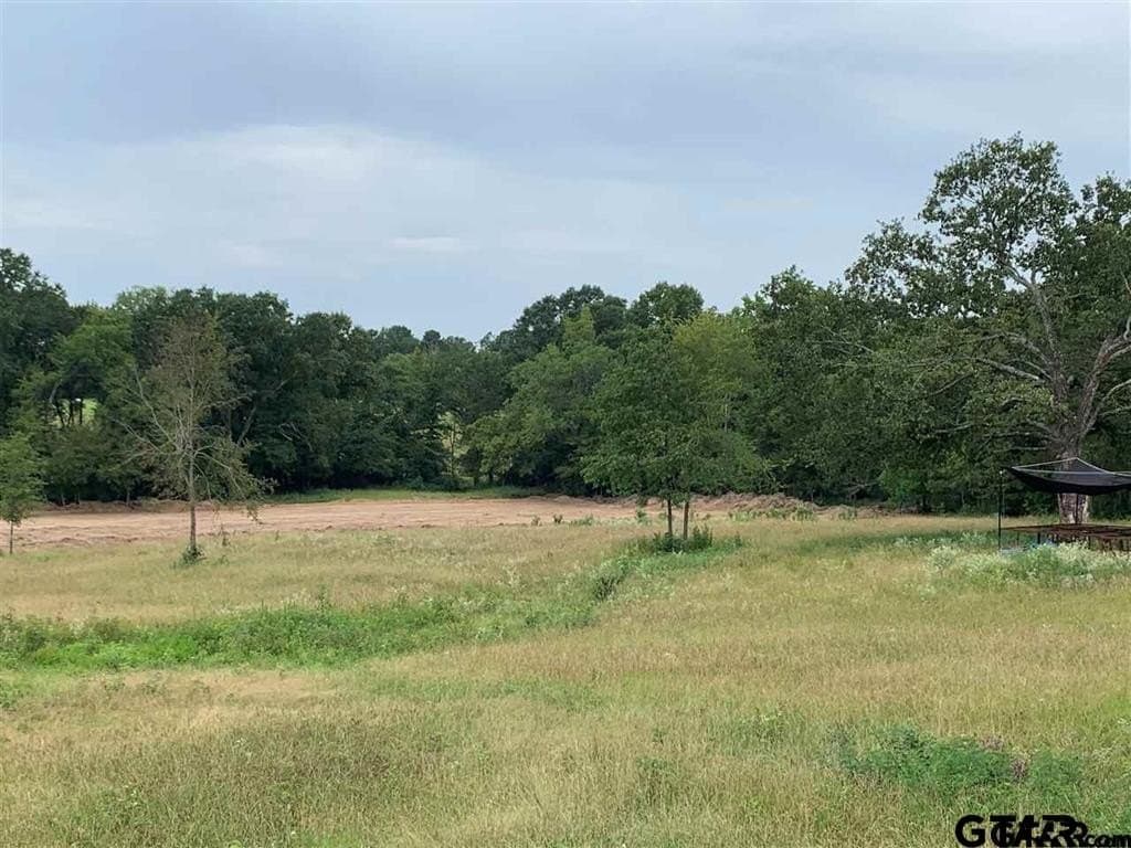 89.4 acres in Titus County - photo 5