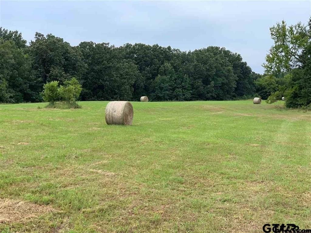89.4 acres in Titus County - photo 3