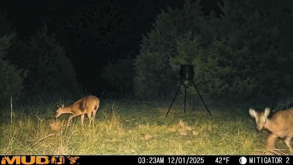 15.5 acres in Hill County - photo 12