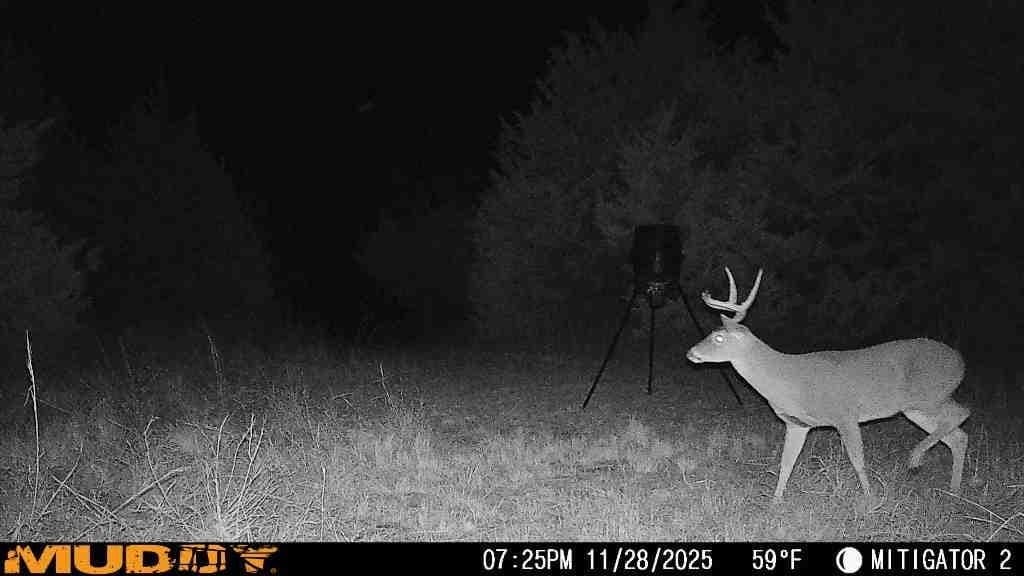 15.5 acres in Hill County - photo 11