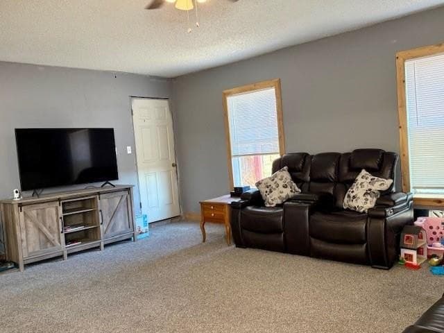 15.5 acres in Hill County - photo 4