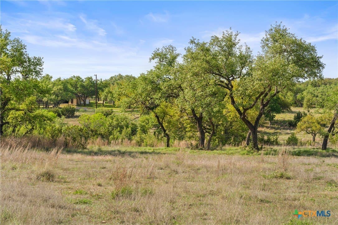 25.01 acres in Blanco County - photo 43