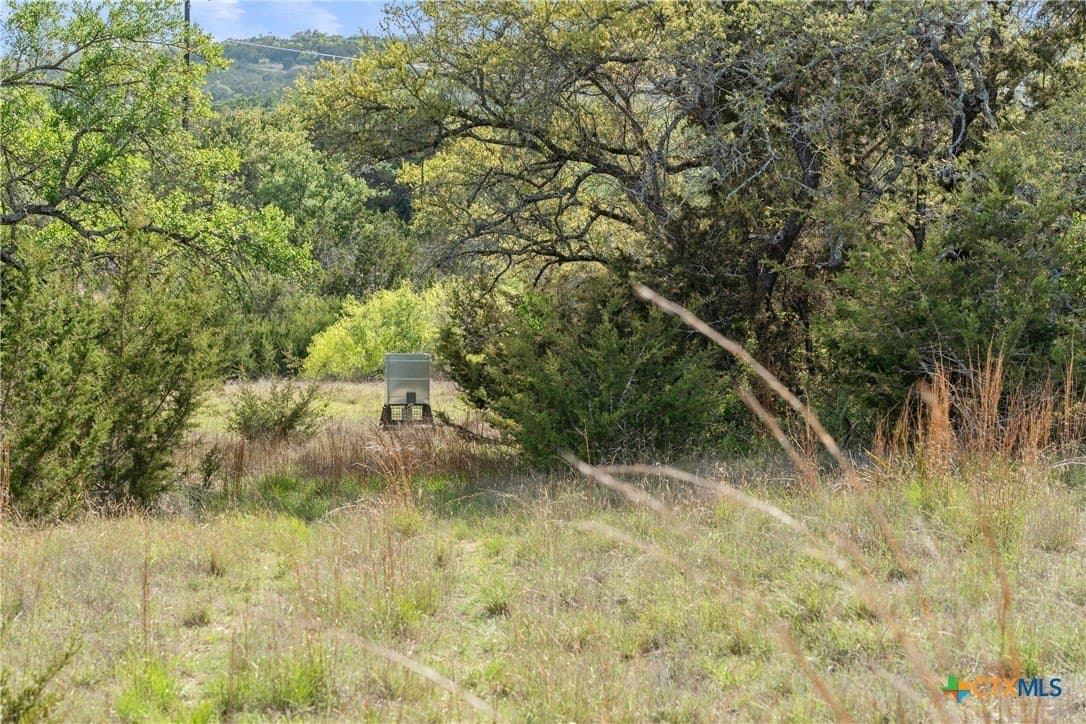 25.01 acres in Blanco County - photo 22
