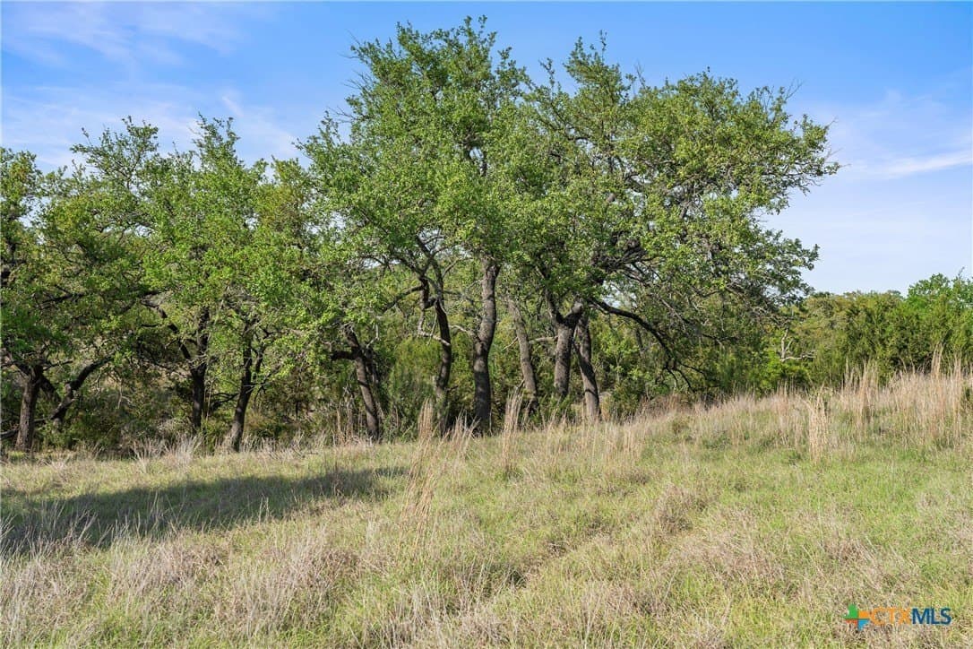 25.01 acres in Blanco County - photo 30