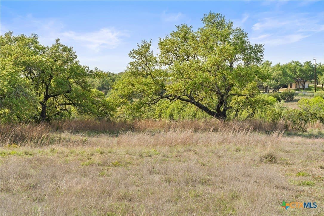 25.01 acres in Blanco County - photo 44