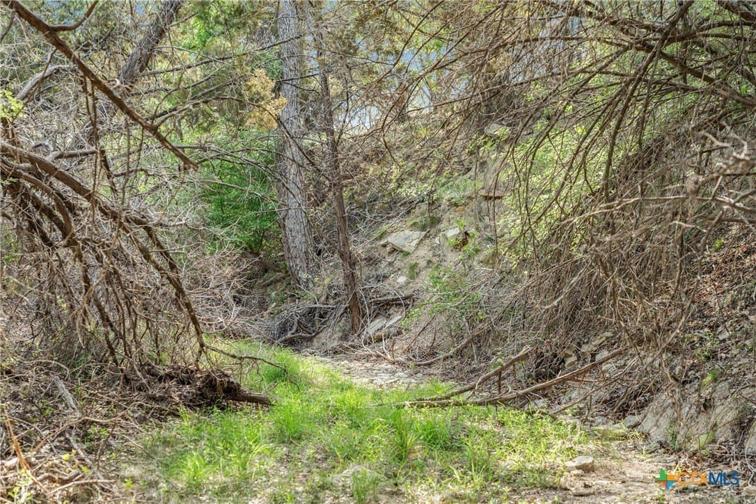 25.01 acres in Blanco County - photo 29