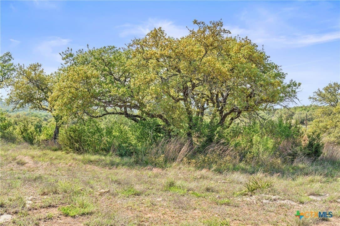 25.01 acres in Blanco County - photo 12