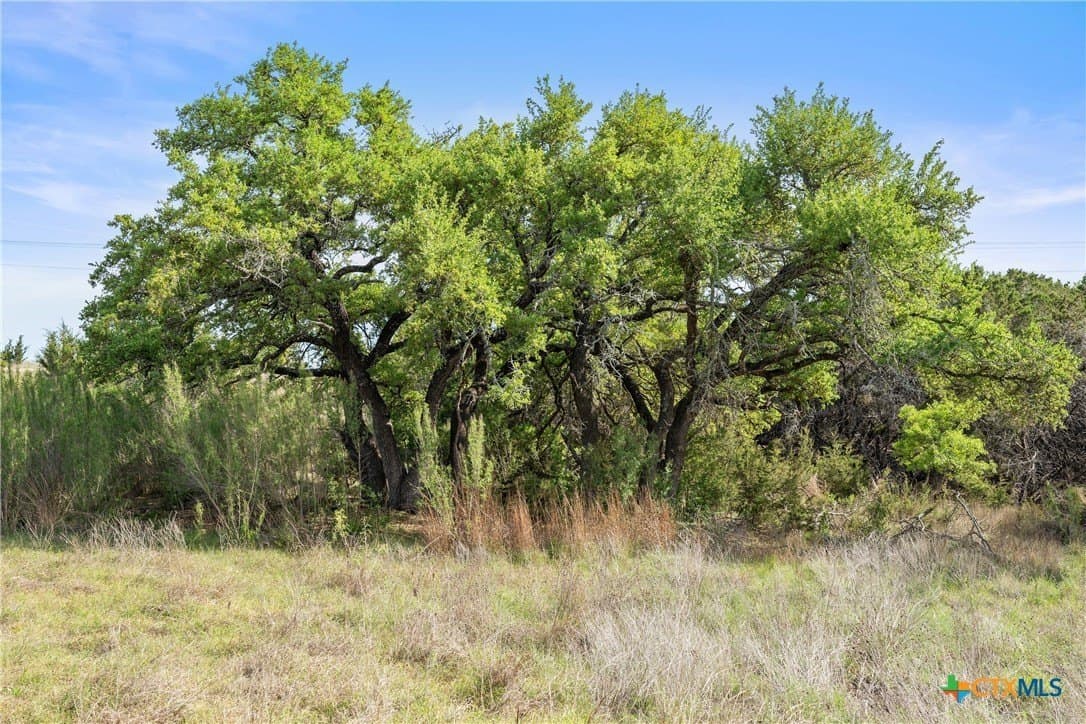 25.01 acres in Blanco County - photo 24