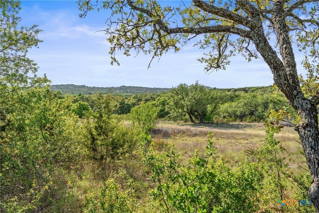 25.01 acres in Blanco County - photo 33