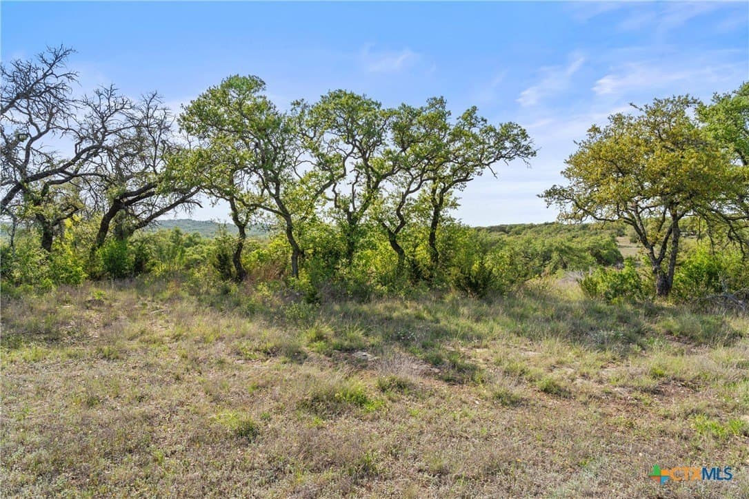 25.01 acres in Blanco County - photo 36