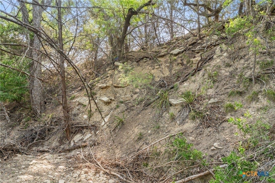 25.01 acres in Blanco County - photo 26