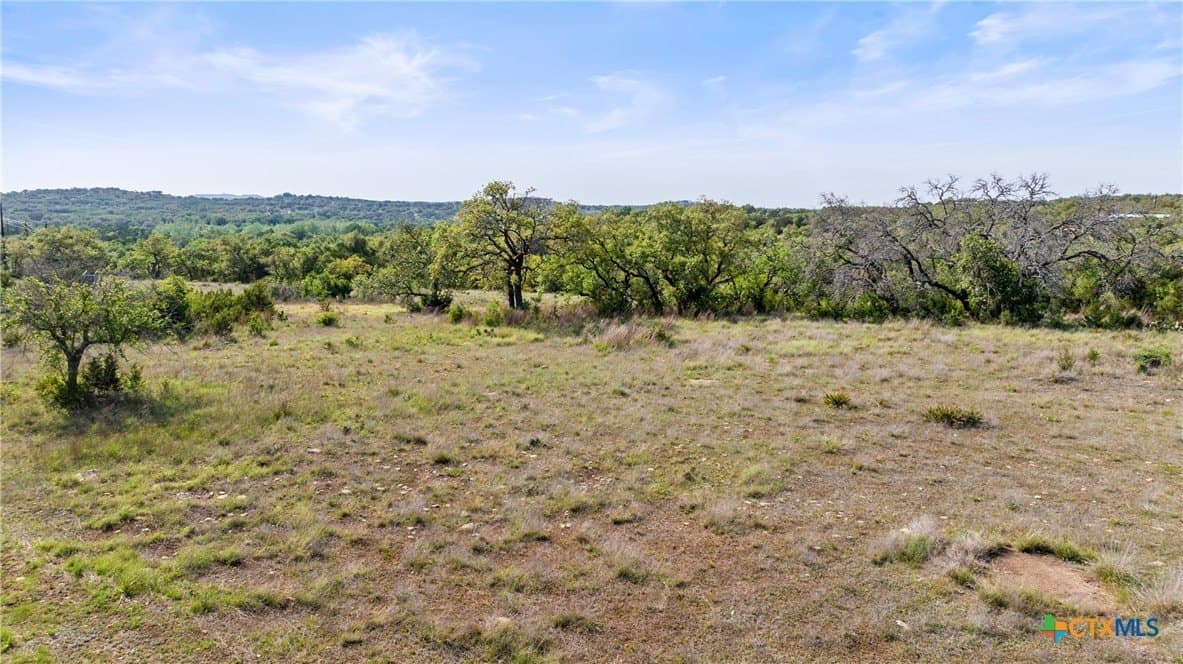 25.01 acres in Blanco County - photo 8