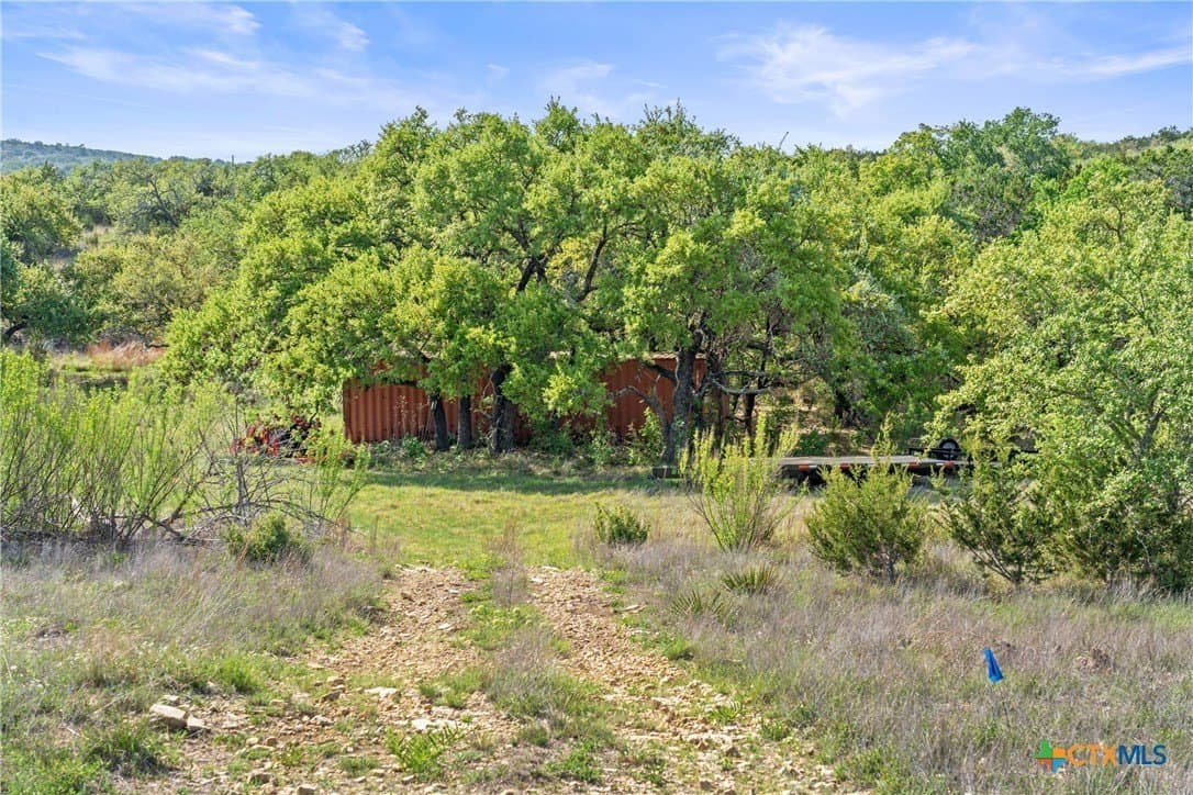 25.01 acres in Blanco County - photo 14