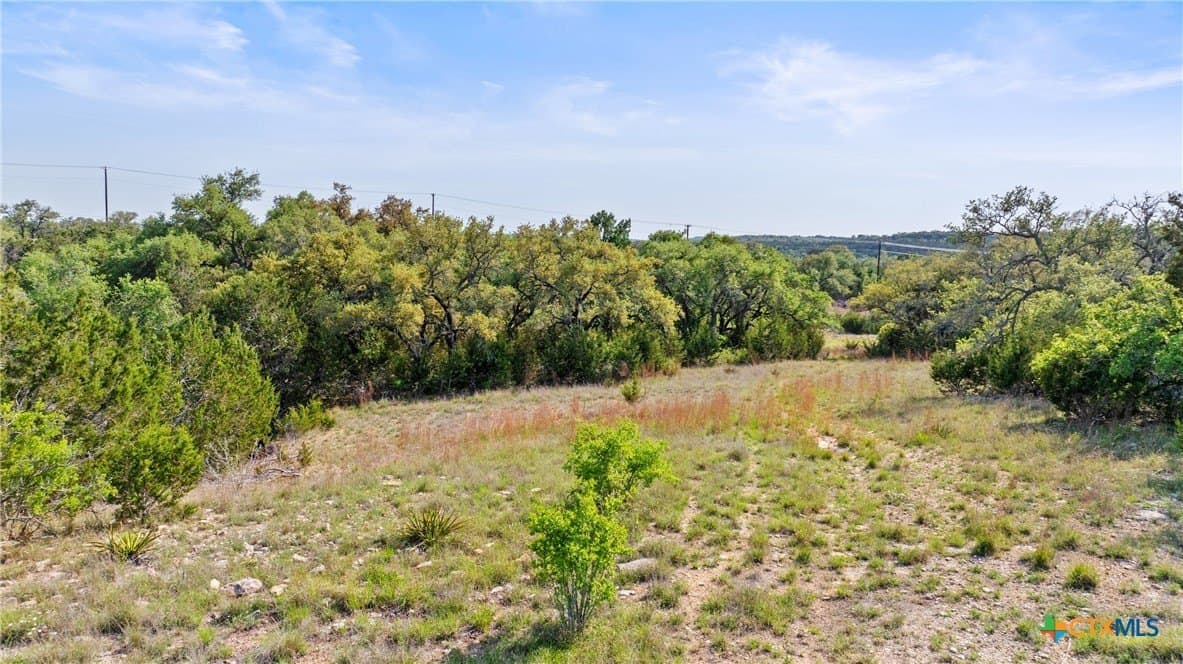25.01 acres in Blanco County - photo 10