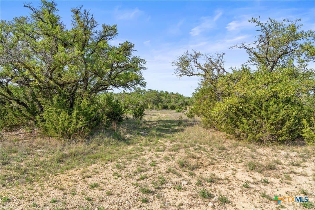 25.01 acres in Blanco County - photo 19