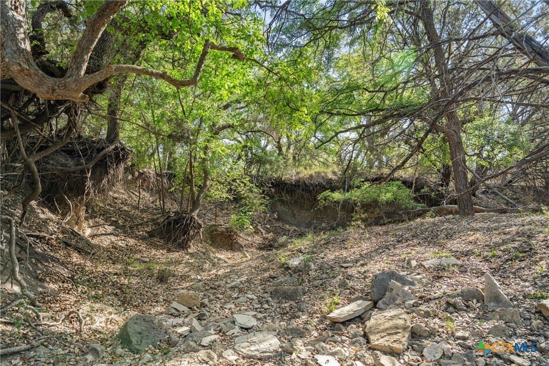 25.01 acres in Blanco County - photo 28