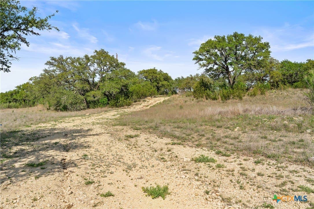 25.01 acres in Blanco County - photo 32
