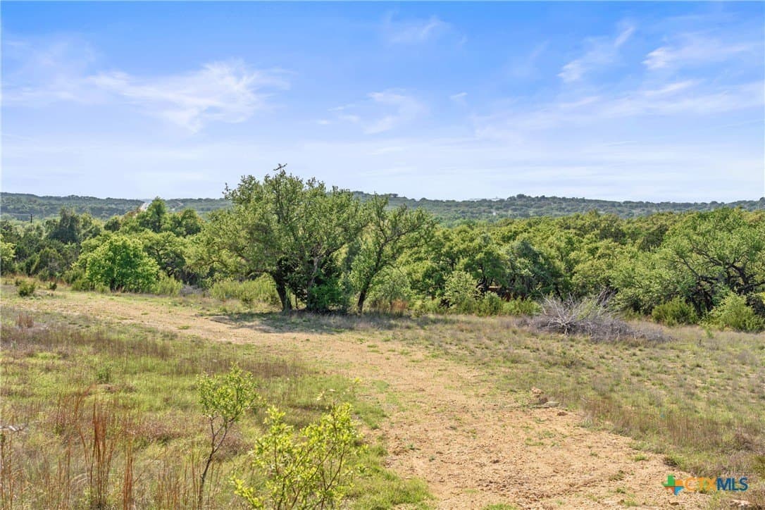 25.01 acres in Blanco County - photo 13