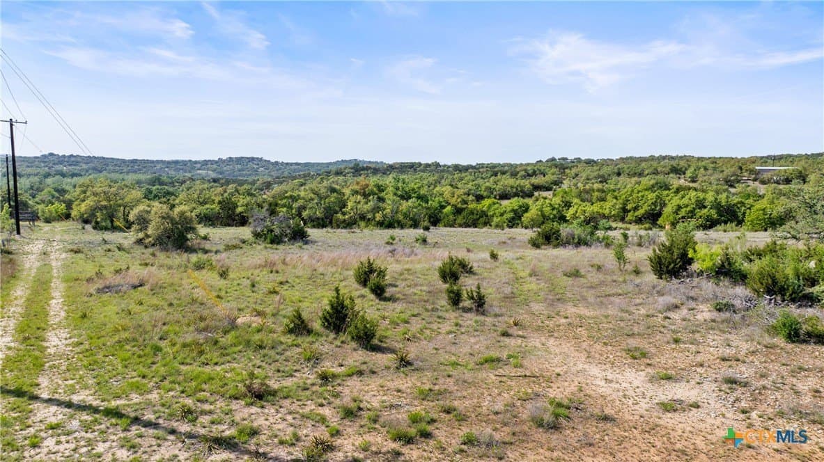 25.01 acres in Blanco County - photo 9