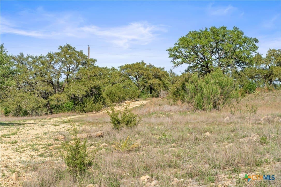 25.01 acres in Blanco County - photo 15