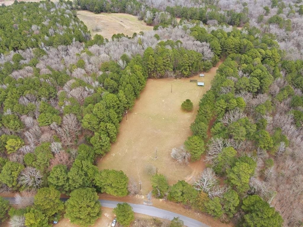 10 acres in Wood County - photo 29