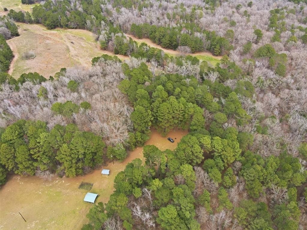 10 acres in Wood County - photo 30