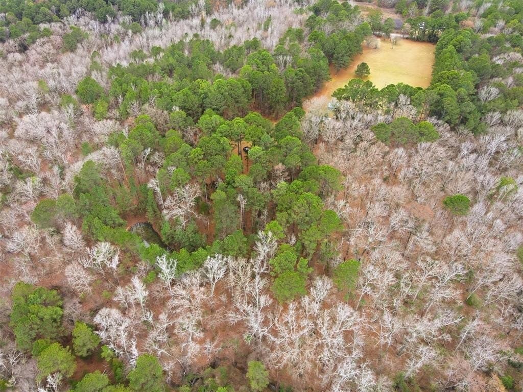 10 acres in Wood County - photo 27