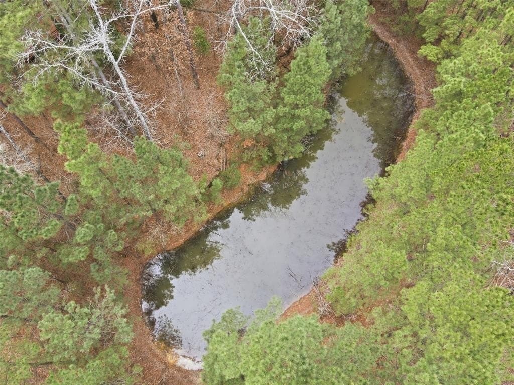 10 acres in Wood County - photo 31